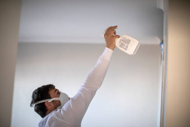 Best Mold Damage Repair  in Gridley, IL