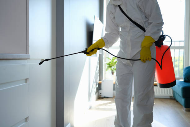 Best Mold Remediation Services  in Gridley, IL