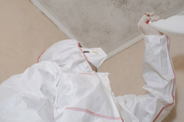 Best Crawl Space Mold Removal  in Gridley, IL